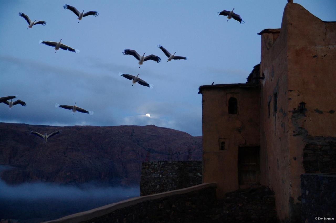 Tizourgane Kasbah 호텔 Tiguissas 외부 사진