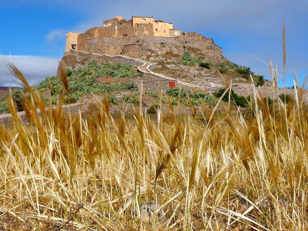 Tizourgane Kasbah 호텔 Tiguissas 외부 사진